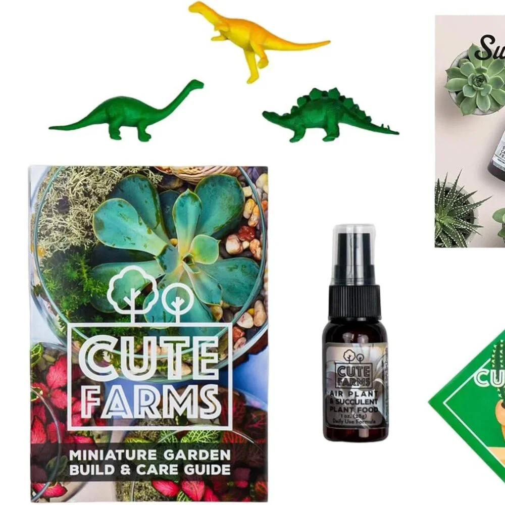 Terrarium Starter Kit | Moss, Vermiculite, Soil, Pebbles, Plant Food, Finishing - Picture 5 of 7